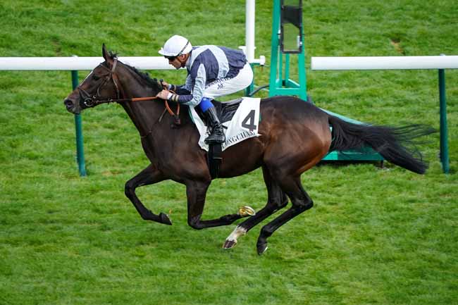 Photo d'arrivée de la course pmu PRIX DE LA TOUR DES DAMES à LONGCHAMP le Jeudi 5 septembre 2019