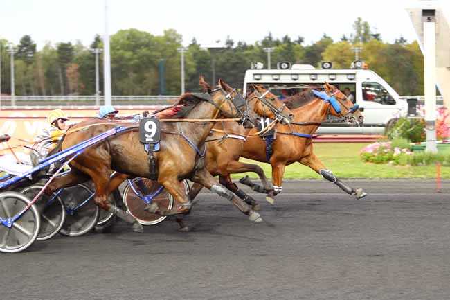 Photo d'arrivée de la course pmu PRIX MAGDALENA à PARIS-VINCENNES le Vendredi 6 septembre 2019