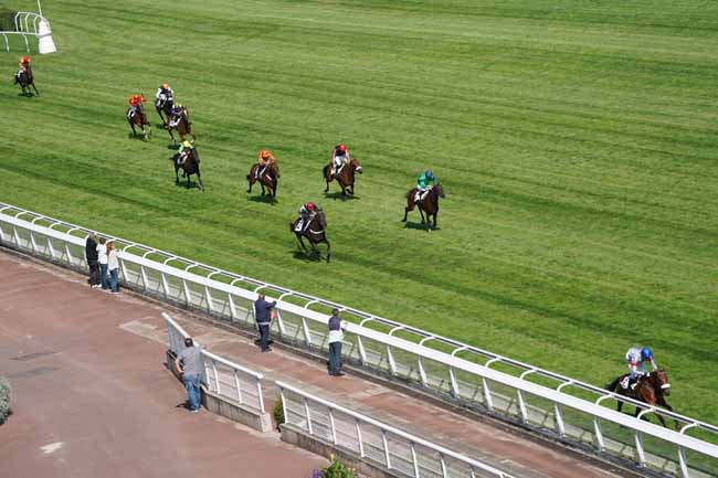 Photo d'arrivée de la course pmu PRIX PIERRE ET BERNARD CYPRES à AUTEUIL le Vendredi 6 septembre 2019