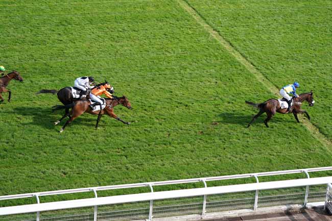 Photo d'arrivée de la course pmu PRIX MELANOS à AUTEUIL le Vendredi 6 septembre 2019
