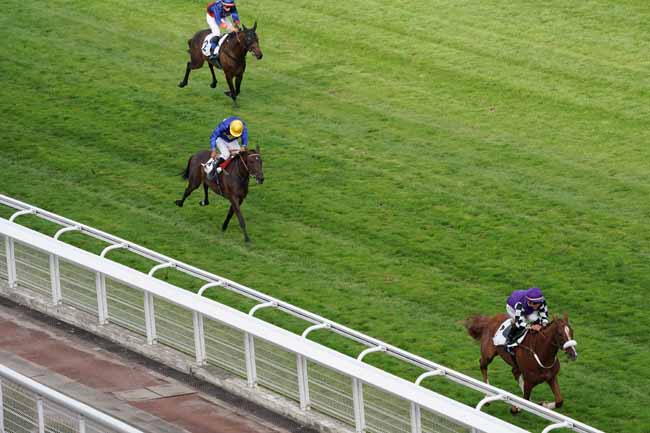 Photo d'arrivée de la course pmu PRIX DE L'ORLEANAIS à AUTEUIL le Vendredi 6 septembre 2019