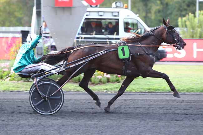 Photo d'arrivée de la course pmu PRIX DE MONTIER-EN-DER à PARIS-VINCENNES le Samedi 7 septembre 2019