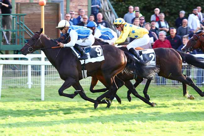 Photo d'arrivée de la course pmu PRIX ALIZE AUTOMOBILES à FONTAINEBLEAU le Samedi 7 septembre 2019