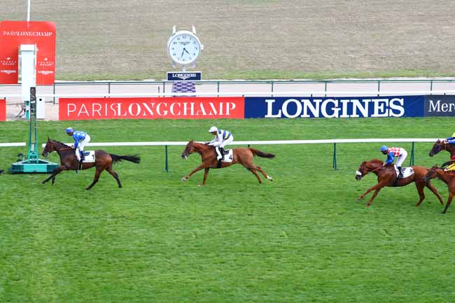 Photo d'arrivée de la course pmu PRIX GLADIATEUR à LONGCHAMP le Dimanche 8 septembre 2019