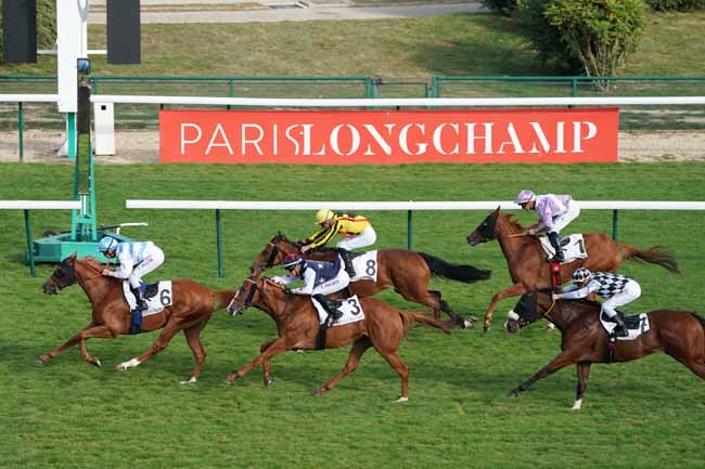 Photo d'arrivée de la course pmu PRIX DE VIVIENNE à LONGCHAMP le Dimanche 8 septembre 2019