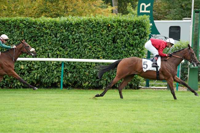 Photo d'arrivée de la course pmu PRIX DE VINEUIL à CHANTILLY le Lundi 9 septembre 2019