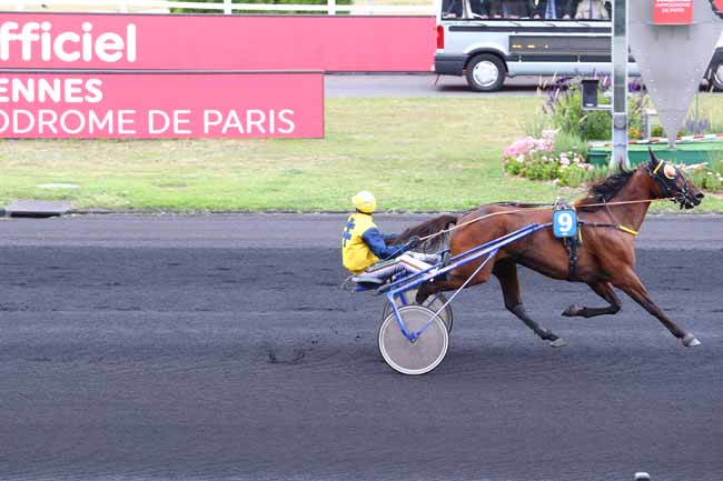 Photo d'arrivée de la course pmu PRIX DE NUEIL-SUR-LAYON à PARIS-VINCENNES le Lundi 9 septembre 2019