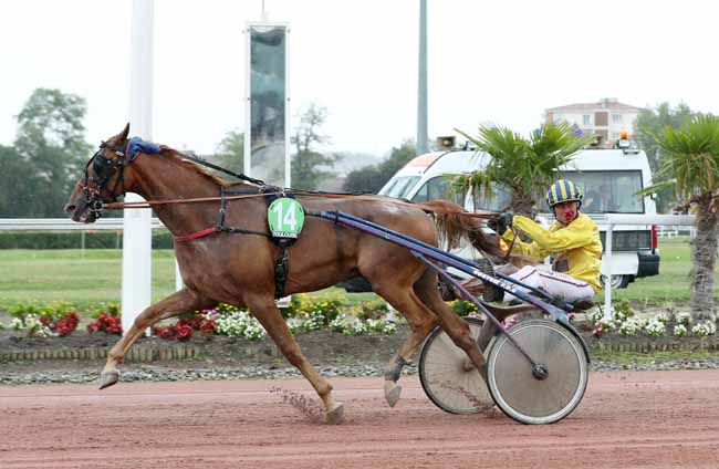 Photo d'arrivée de la course pmu GRAND PRIX DYNAVENA MAISAGRI DURAN à TOULOUSE le Mardi 10 septembre 2019
