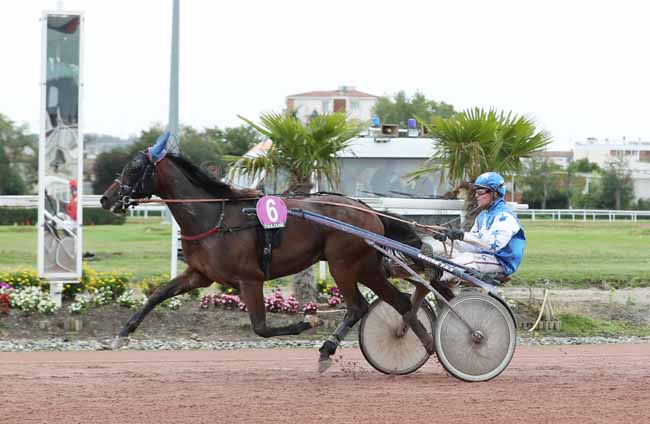 Photo d'arrivée de la course pmu PRIX BELLINO II à TOULOUSE le Mardi 10 septembre 2019