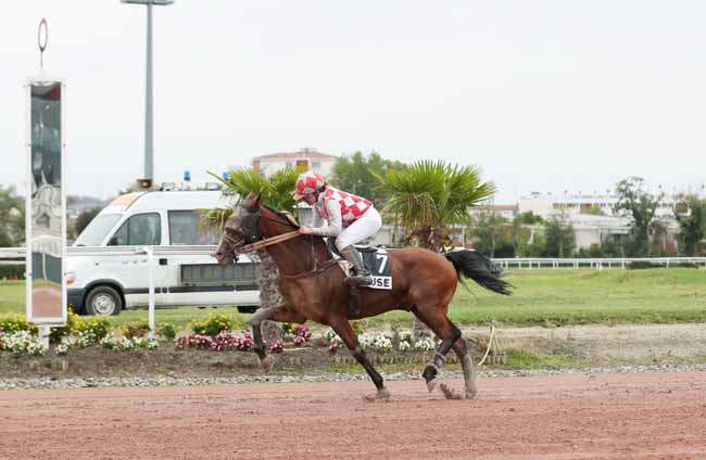 Photo d'arrivée de la course pmu PRIX DE LA DEPECHE DU MIDI à TOULOUSE le Mardi 10 septembre 2019