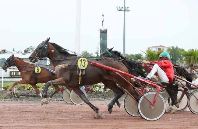 Photo d'arrivée de la course pmu PRIX TOULOUSE FM à TOULOUSE le Mardi 10 septembre 2019
