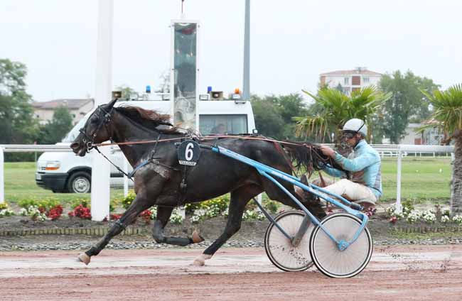Photo d'arrivée de la course pmu PRIX DES SAPEURS-POMPIERS DE TOULOUSE à TOULOUSE le Mardi 10 septembre 2019