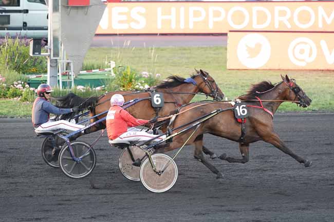 Photo d'arrivée de la course pmu PRIX CONCORDIA à PARIS-VINCENNES le Mardi 10 septembre 2019