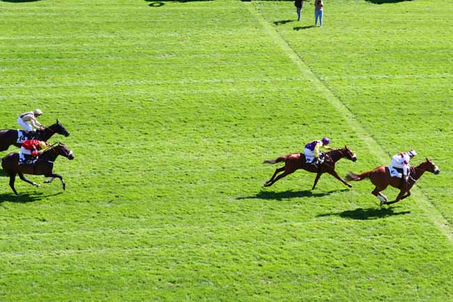 Photo d'arrivée de la course pmu PRIX ALAIN ET GILLES DE GOULAINE à AUTEUIL le Mercredi 11 septembre 2019