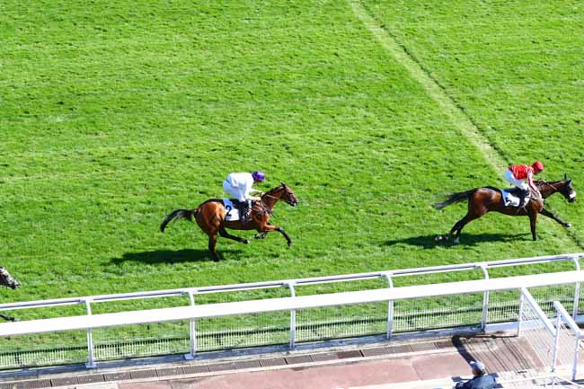 Photo d'arrivée de la course pmu PRIX ROYAL JUNIOR à AUTEUIL le Mercredi 11 septembre 2019