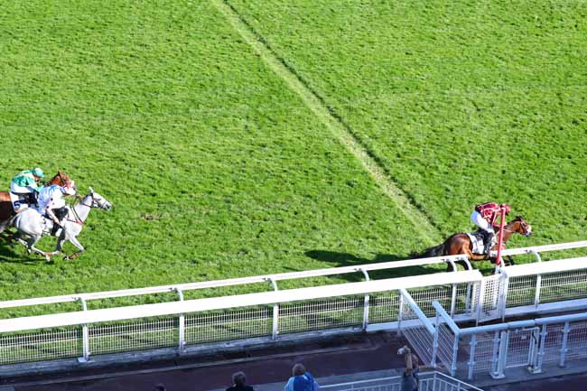 Photo d'arrivée de la course pmu PRIX AMATI à AUTEUIL le Mercredi 11 septembre 2019