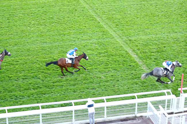 Photo d'arrivée de la course pmu PRIX DE SAINT-ETIENNE-DE-CORCOUE à AUTEUIL le Mercredi 11 septembre 2019