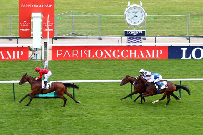 Photo d'arrivée de la course pmu PRIX DE ST-NICOLAS à LONGCHAMP le Jeudi 12 septembre 2019