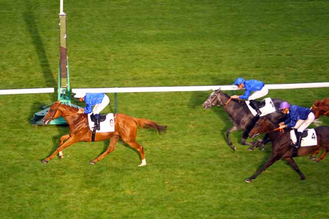 Photo d'arrivée de la course pmu PRIX DES PAVILLONS DE BERCY à LONGCHAMP le Jeudi 12 septembre 2019