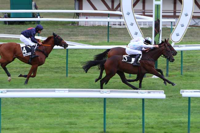 Photo d'arrivée de la course pmu PRIX NUAGE à COMPIEGNE le Jeudi 12 septembre 2019