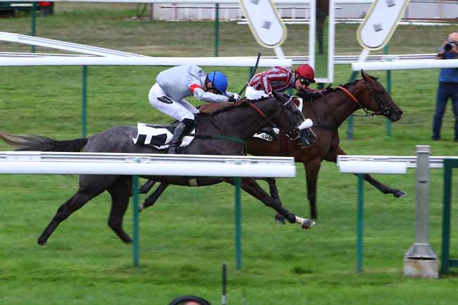 Photo d'arrivée de la course pmu PRIX ROMAN OAK à COMPIEGNE le Jeudi 12 septembre 2019