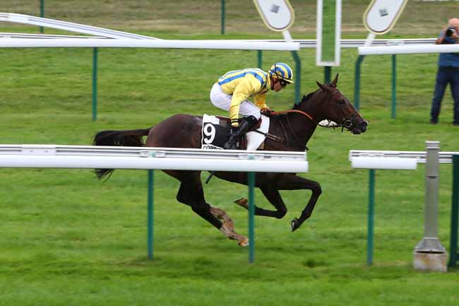 Photo d'arrivée de la course pmu PRIX SUMMIT à COMPIEGNE le Jeudi 12 septembre 2019