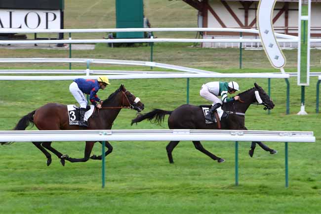 Photo d'arrivée de la course pmu PRIX DES ROUGES TERRES à COMPIEGNE le Jeudi 12 septembre 2019