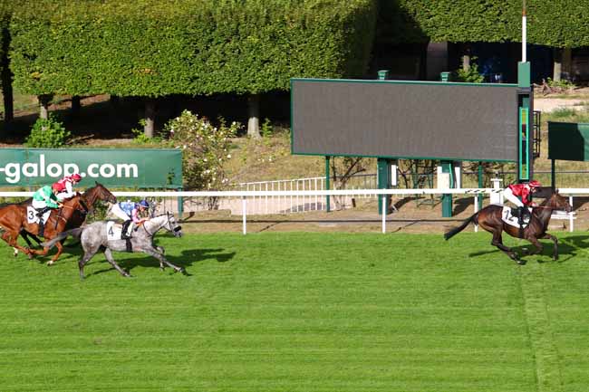 Photo d'arrivée de la course pmu PRIX DE LAMARQUE à SAINT-CLOUD le Vendredi 13 septembre 2019