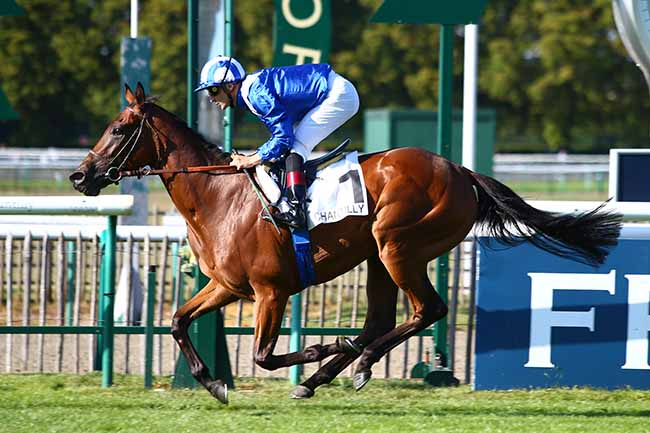 Photo d'arrivée de la course pmu PRIX DE LA LORIE à CHANTILLY le Samedi 14 septembre 2019