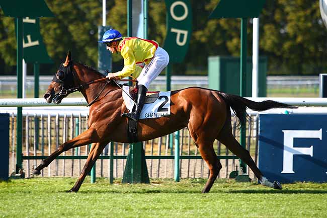 Photo d'arrivée de la course pmu PRIX DU ROND DE DEBOURRAGE à CHANTILLY le Samedi 14 septembre 2019