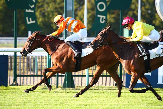 Photo d'arrivée de la course pmu PRIX DE LA CANNERIE à CHANTILLY le Samedi 14 septembre 2019