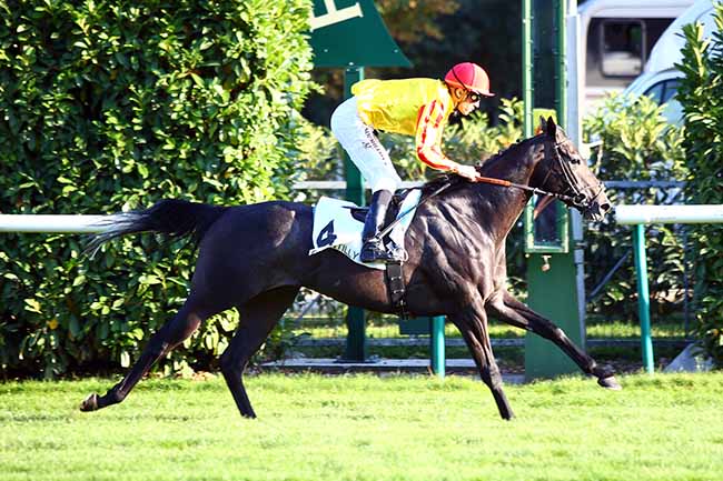 Photo d'arrivée de la course pmu PRIX DU BOIS DU LIEUTENANT à CHANTILLY le Samedi 14 septembre 2019