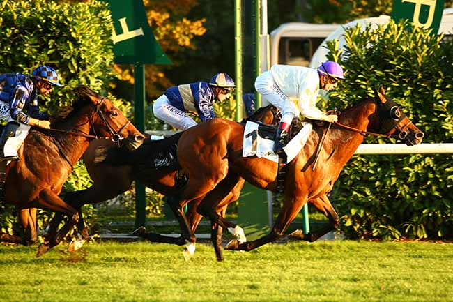 Photo d'arrivée de la course pmu PRIX TILBURY à CHANTILLY le Samedi 14 septembre 2019