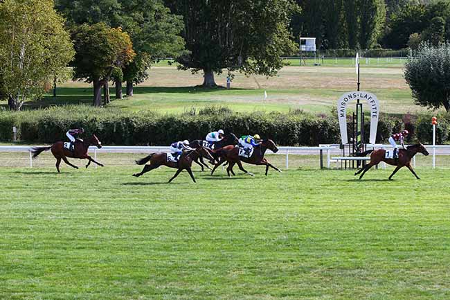 Photo d'arrivée de la course pmu PRIX AD ALTIORA à MAISONS-LAFFITTE le Lundi 16 septembre 2019