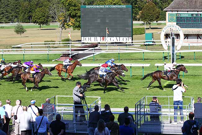 Photo d'arrivée de la course pmu PRIX DU BRAS D'OR à COMPIEGNE le Mardi 17 septembre 2019