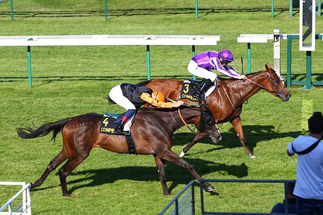 Photo d'arrivée de la course pmu PRIX DE LONGUEIL ANNEL à COMPIEGNE le Mardi 17 septembre 2019