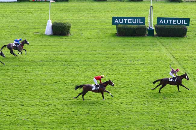 Photo d'arrivée de la course pmu PRIX THE FELLOW - MARQUISE DE MORATALLA à AUTEUIL le Mardi 17 septembre 2019