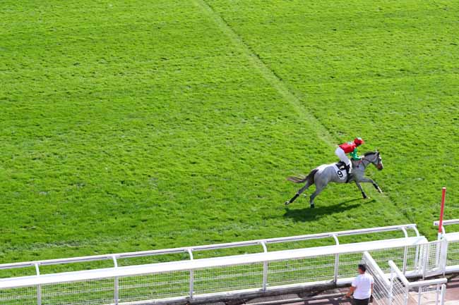 Photo d'arrivée de la course pmu PRIX FINOT (PELOTON B) à AUTEUIL le Mardi 17 septembre 2019