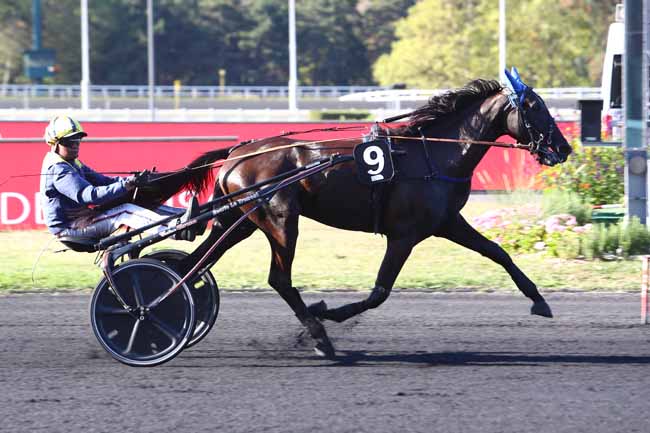 Photo d'arrivée de la course pmu PRIX DORADO à PARIS-VINCENNES le Mardi 17 septembre 2019