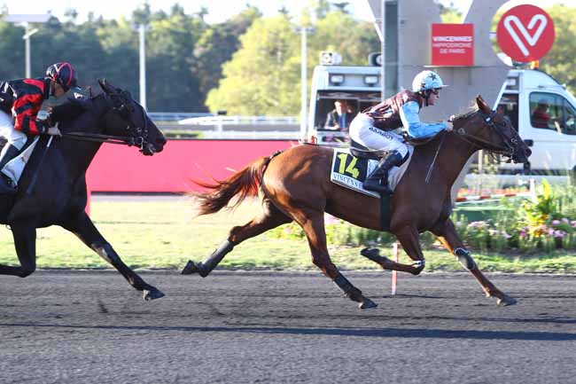 Photo d'arrivée de la course pmu PRIX ERIDANUS à PARIS-VINCENNES le Mardi 17 septembre 2019