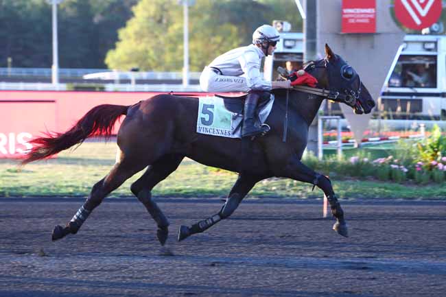 Photo d'arrivée de la course pmu PRIX ENIS à PARIS-VINCENNES le Mardi 17 septembre 2019