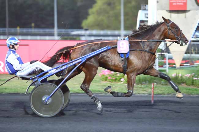 Photo d'arrivée de la course pmu PRIX AQUITANIA à PARIS-VINCENNES le Mardi 17 septembre 2019