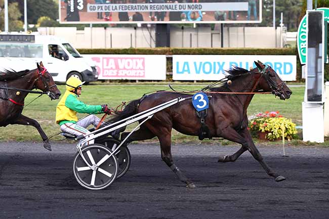 Photo d'arrivée de la course pmu GRAND PRIX DE LA FEDERATION REGIONALE DU NORD à LE CROISE-LAROCHE le Mercredi 18 septembre 2019