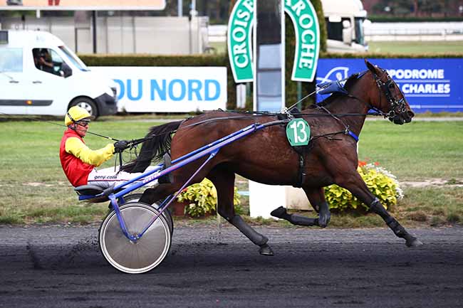 Photo d'arrivée de la course pmu PRIX DU CROISE-LAROCHE à LE CROISE-LAROCHE le Mercredi 18 septembre 2019