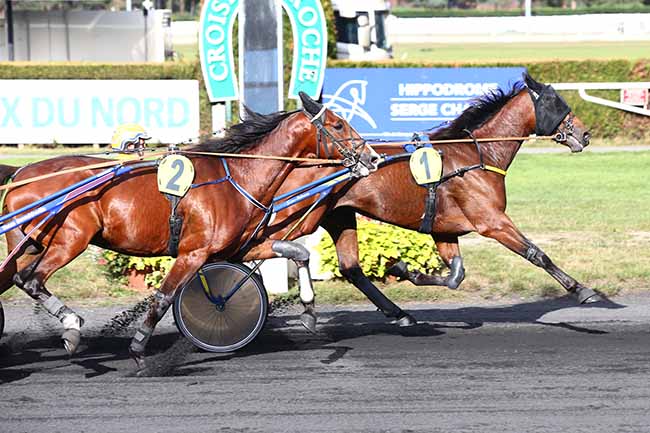 Photo d'arrivée de la course pmu PRIX DE TOURCOING à LE CROISE-LAROCHE le Mercredi 18 septembre 2019