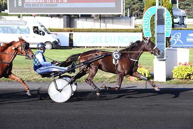 Photo d'arrivée de la course pmu PRIX MOET ET CHANDON à LE CROISE-LAROCHE le Mercredi 18 septembre 2019