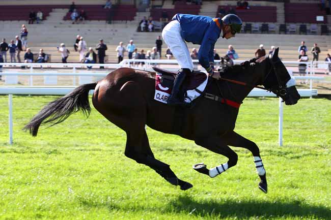 Photo d'arrivée de la course pmu PRIX COMMANDANT GUY DE PIBRAC à CLAIREFONTAINE le Mercredi 18 septembre 2019