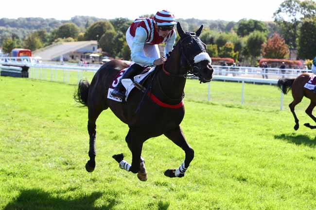 Photo d'arrivée de la course pmu PRIX DES ETANGS DE SAINT-PIERRE à CLAIREFONTAINE le Mercredi 18 septembre 2019