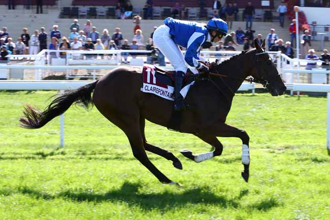 Photo d'arrivée de la course pmu PRIX CHRISTIAN DE L'HERMITE à CLAIREFONTAINE le Mercredi 18 septembre 2019