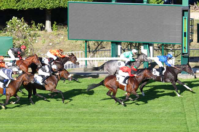 Photo d'arrivée de la course pmu PRIX FAIRY LEGEND à SAINT-CLOUD le Mercredi 18 septembre 2019